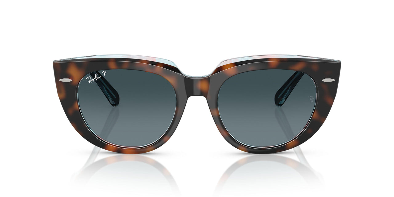 1413S3 - Havana - Blue Gradient Polar