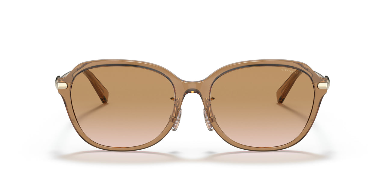 565413 - Brown - Brown Gradient