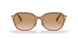 565413 - Brown - Brown Gradient