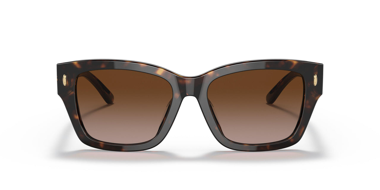 172813 - Havana - Brown Gradient
