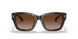 172813 - Havana - Brown Gradient