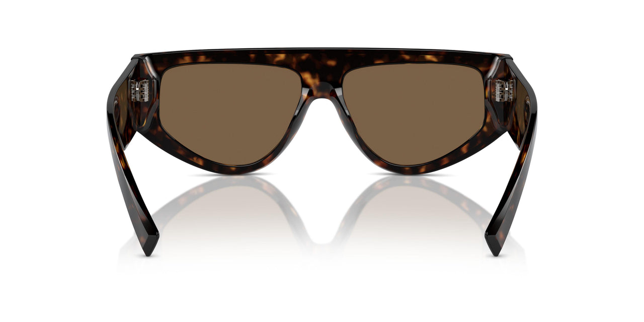502/73 - Tortoise - Dark Brown