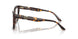 5026 - Tortoise