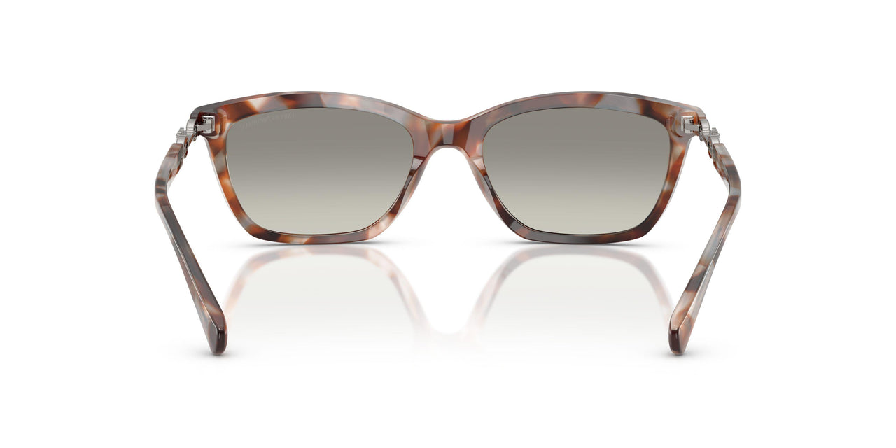 61953C - Tortoise - Grey Gradient