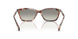 61953C - Tortoise - Grey Gradient