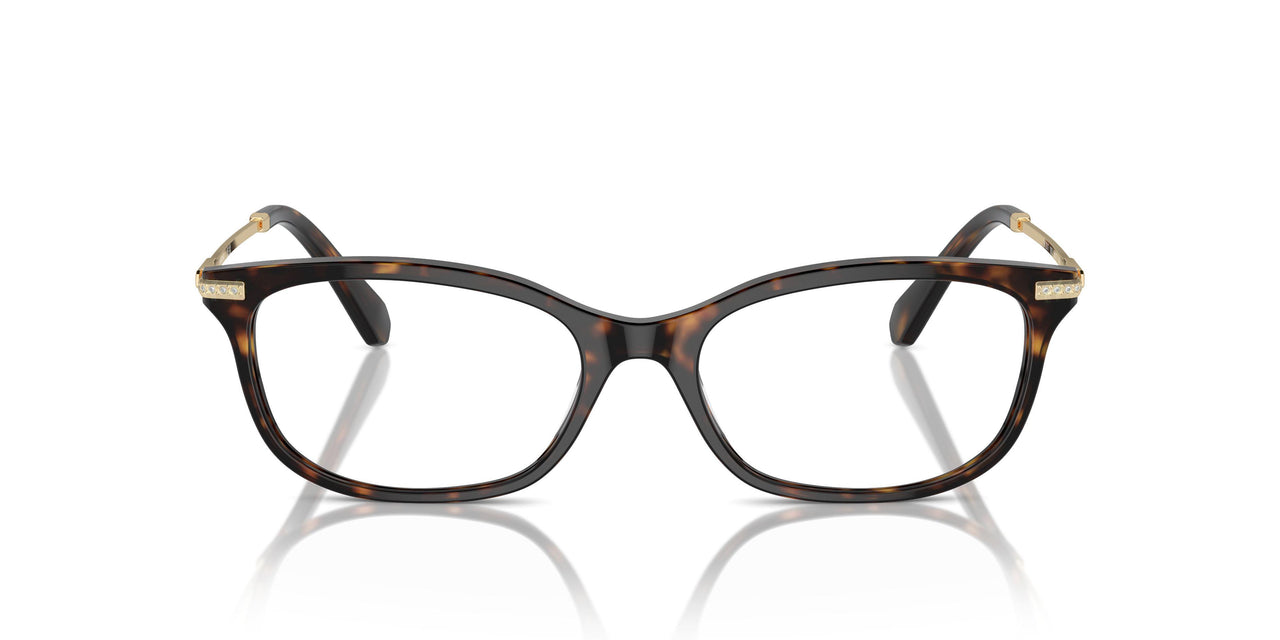1002 - Brown