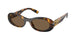 VAU06B - Tortoise - Dark Brown