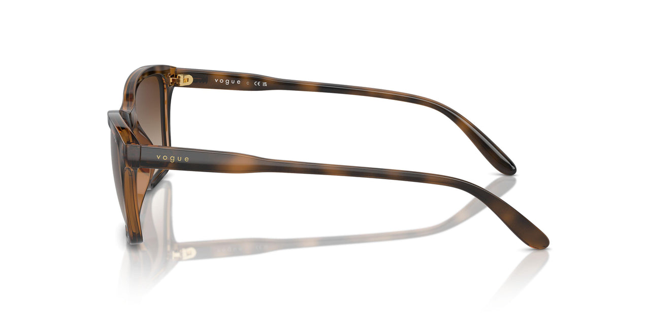 238613 - Brown - Brown Gradient