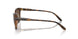 238613 - Brown - Brown Gradient
