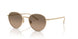 5035GN - Gold - Sandstone Gradient Polarized