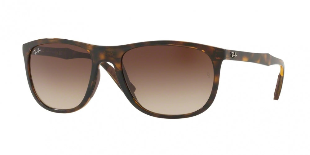 Ray-Ban 4291 Sunglasses