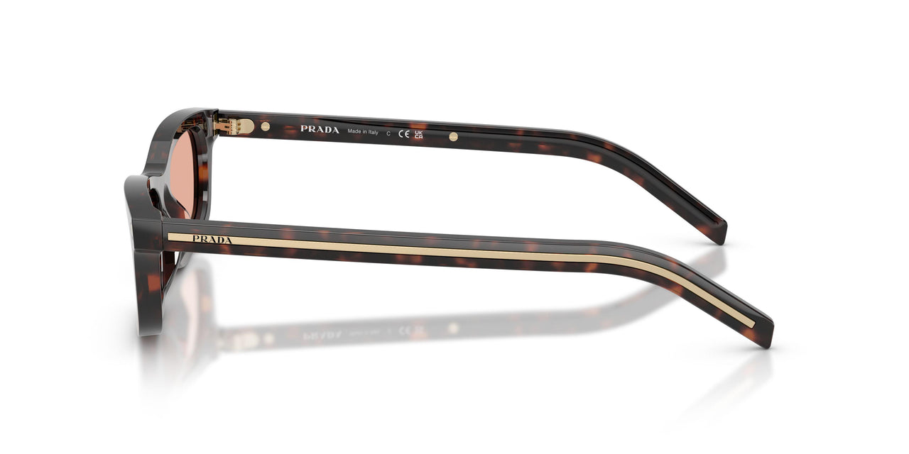 17N50W - Tortoise - Pink