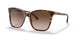 500713 - Havana - Gradient Brown