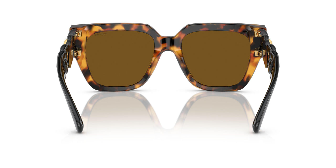 511983 - Tortoise - Dark Brown Polarized