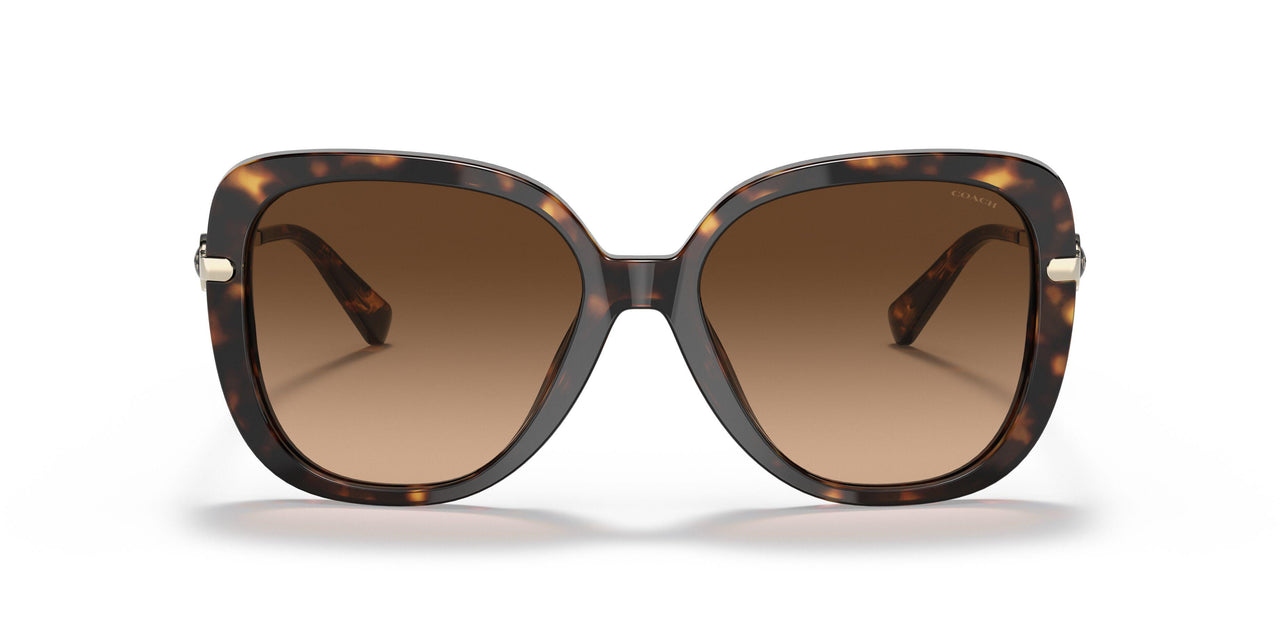 512074 - Havana - Dark Brown Gradient