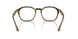 8487 - Tortoise - Clear