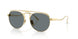 313/80 - Gold - Blue