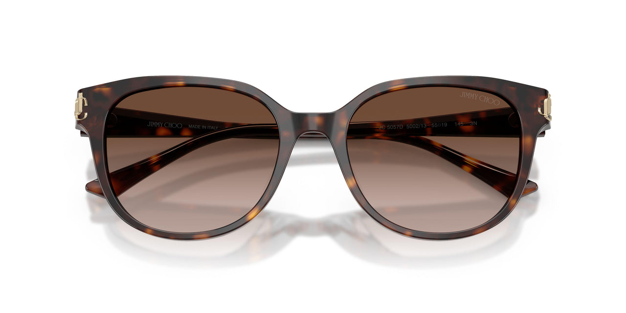 500213 - Tortoise - Gradient Brown