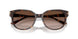 500213 - Tortoise - Gradient Brown