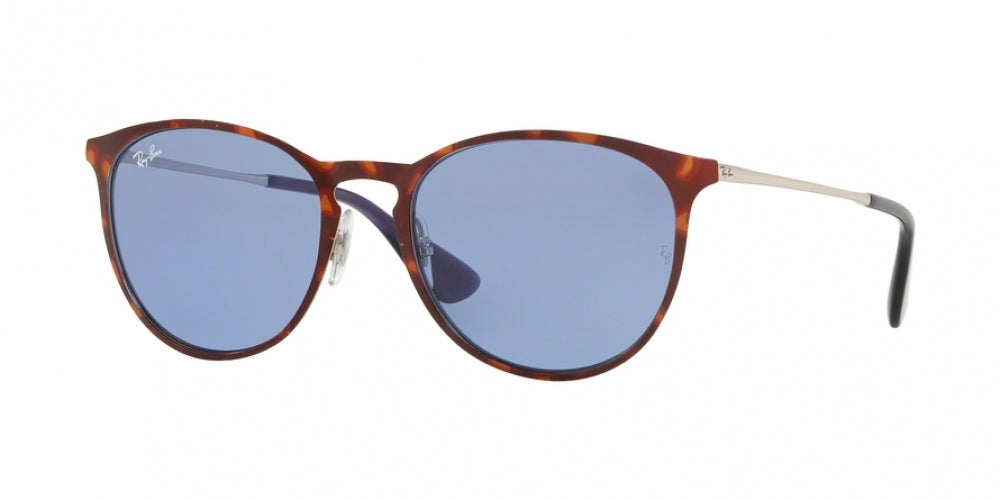 Ray-Ban Erika Metal 3539 Sunglasses