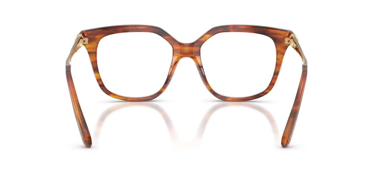 1091 - Brown