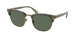 Polo 4217 Sunglasses