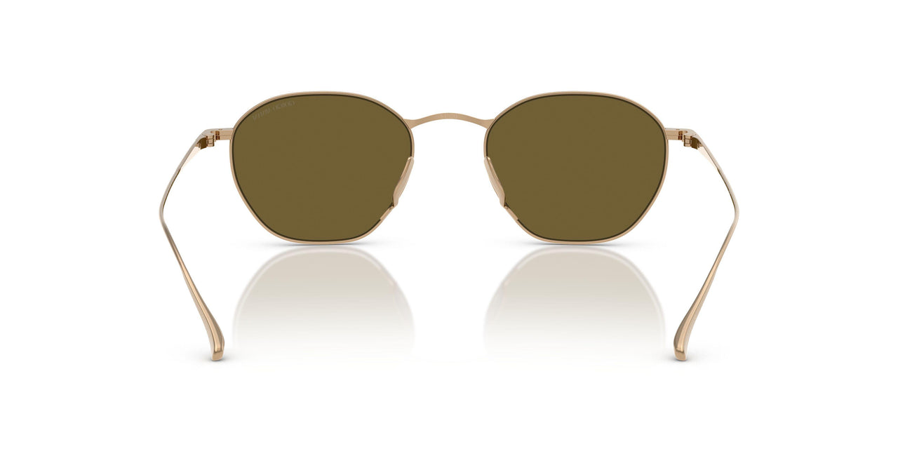 338673 - Gold - Dark Brown