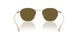 338673 - Gold - Dark Brown