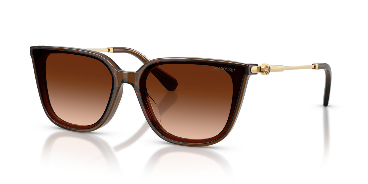 108474 - Brown - Gradient Brown