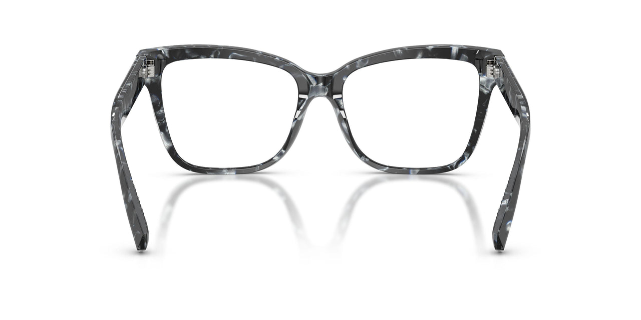 8428 - Tortoise