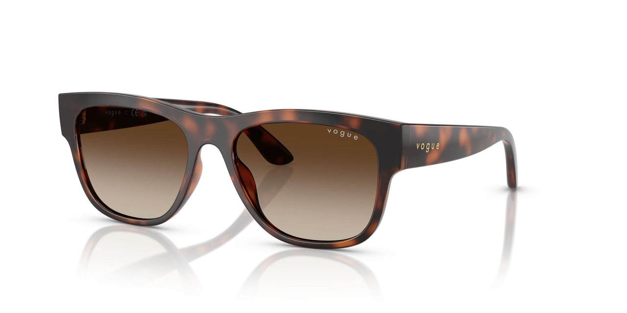 271813 - Brown - Gradient Brown