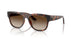 271813 - Brown - Gradient Brown