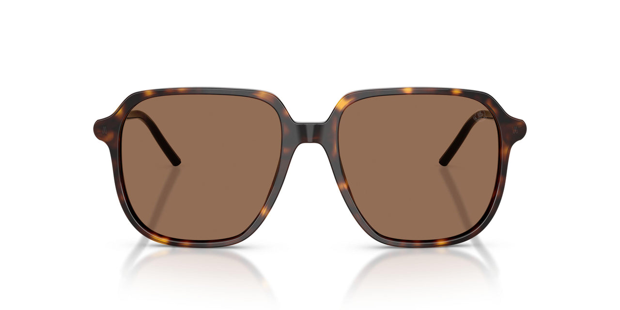 300273 - Tortoise - Brown Solid