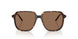 300273 - Tortoise - Brown Solid