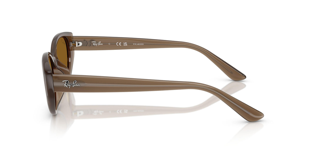 677983 - Brown - Dark Brown - Polar