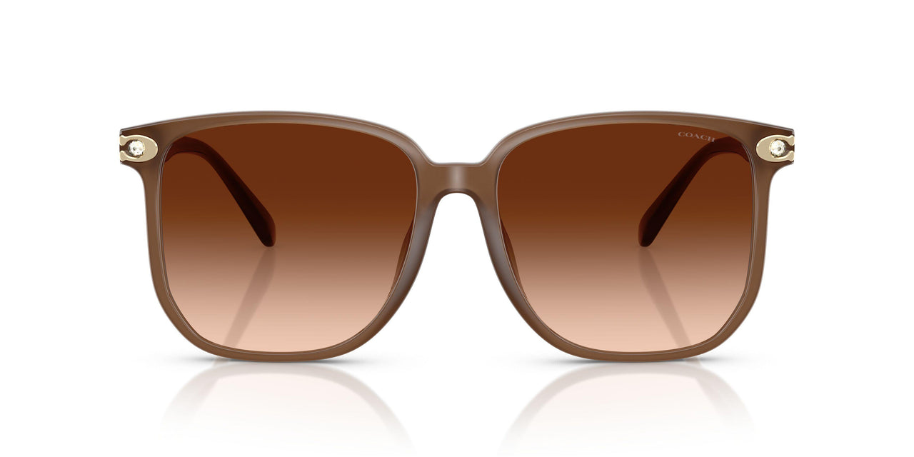 580874 - Brown - Brown Gradient