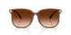 580874 - Brown - Brown Gradient