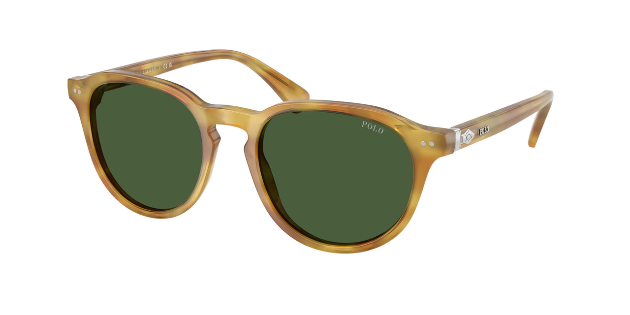 618571 - Tortoise - Bottle Green