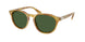 618571 - Tortoise - Bottle Green