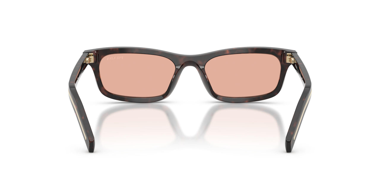 17N50W - Tortoise - Pink