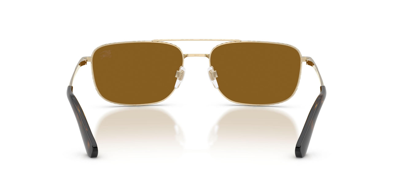 110983 - Gold - Polar Brown