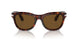 24/57 - Tortoise - Polarized Brown