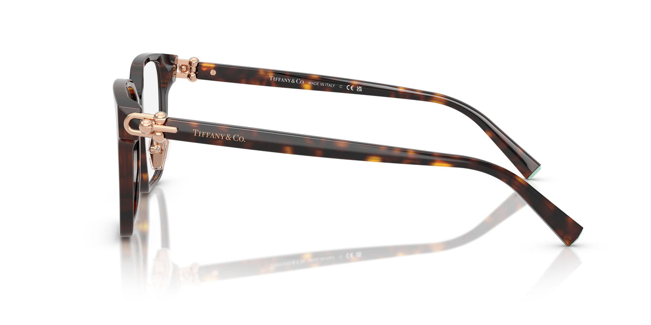 8015 - Tortoise