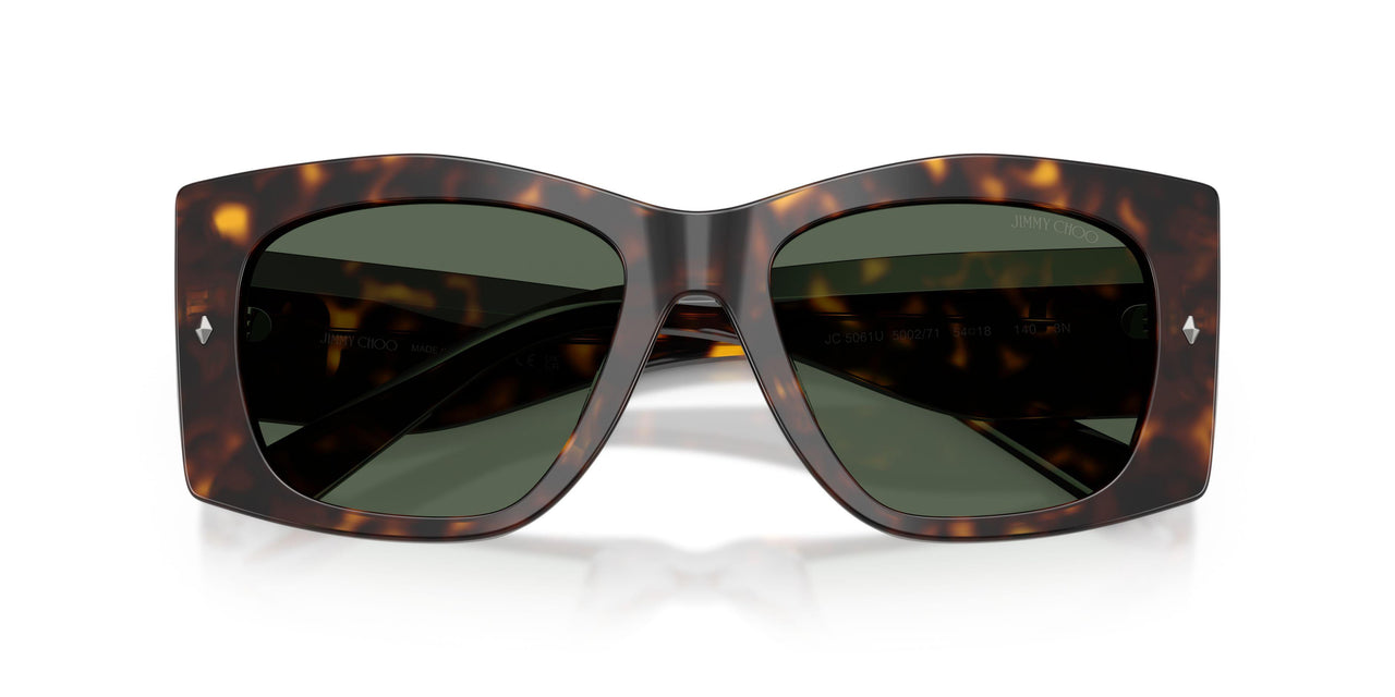 500271 - Tortoise - Dark Green