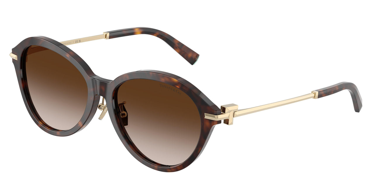 80153B - Tortoise - Brown Gradient