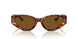 543783 - Tortoise - Dark Brown Polar