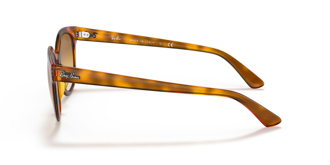 647551 - Yellow Light Havana - Clear Gradient Brown