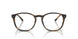 5405 - Brown