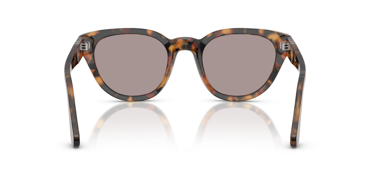 105253 - Tortoise - Violet