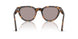105253 - Tortoise - Violet